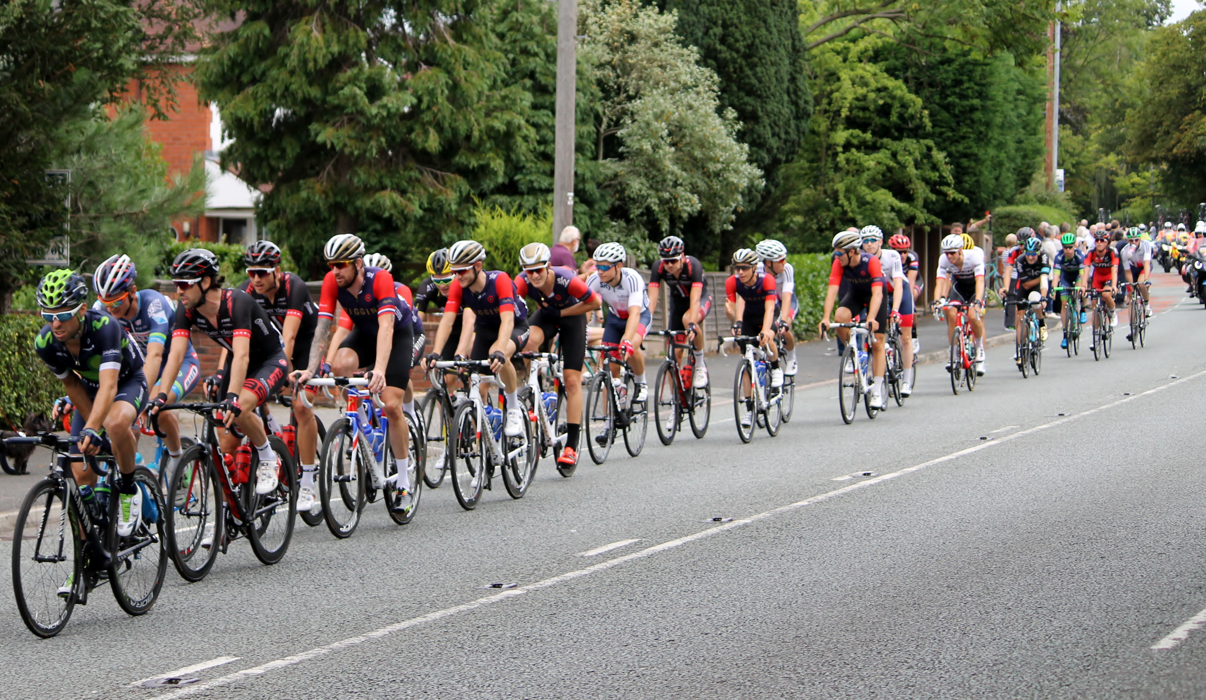 the-back-of-the-pack