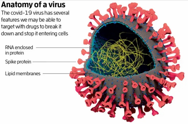 Life & Death – Coronavirus week&nbsp;2